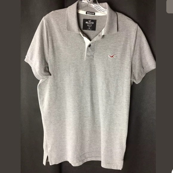 hollister polo muscle fit